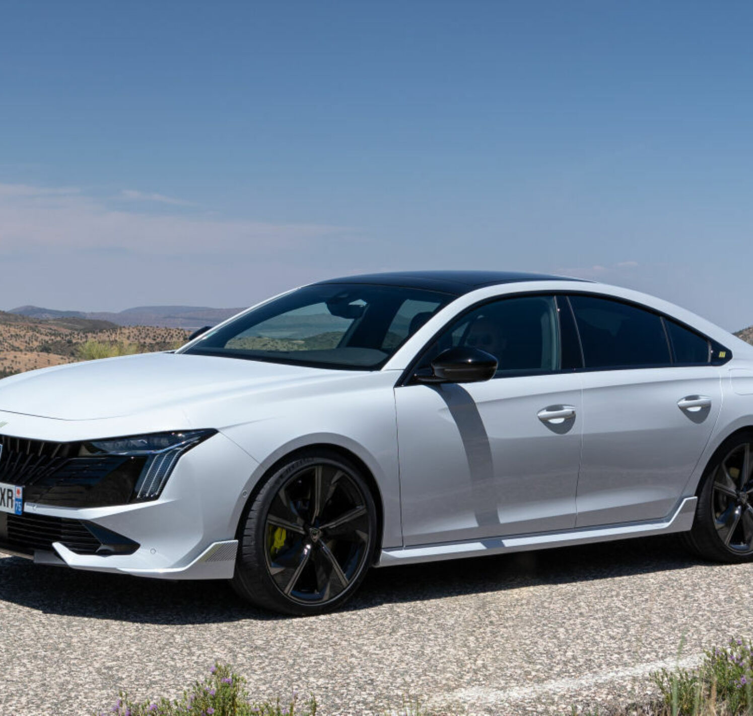 https://autofilter.sk/assets/files/images/508-pse/gallery/Content-508-peugeot-sport-engineered-94-01a4058e0b370863_2025-04-10-201139_kvko.jpg - obrazok
