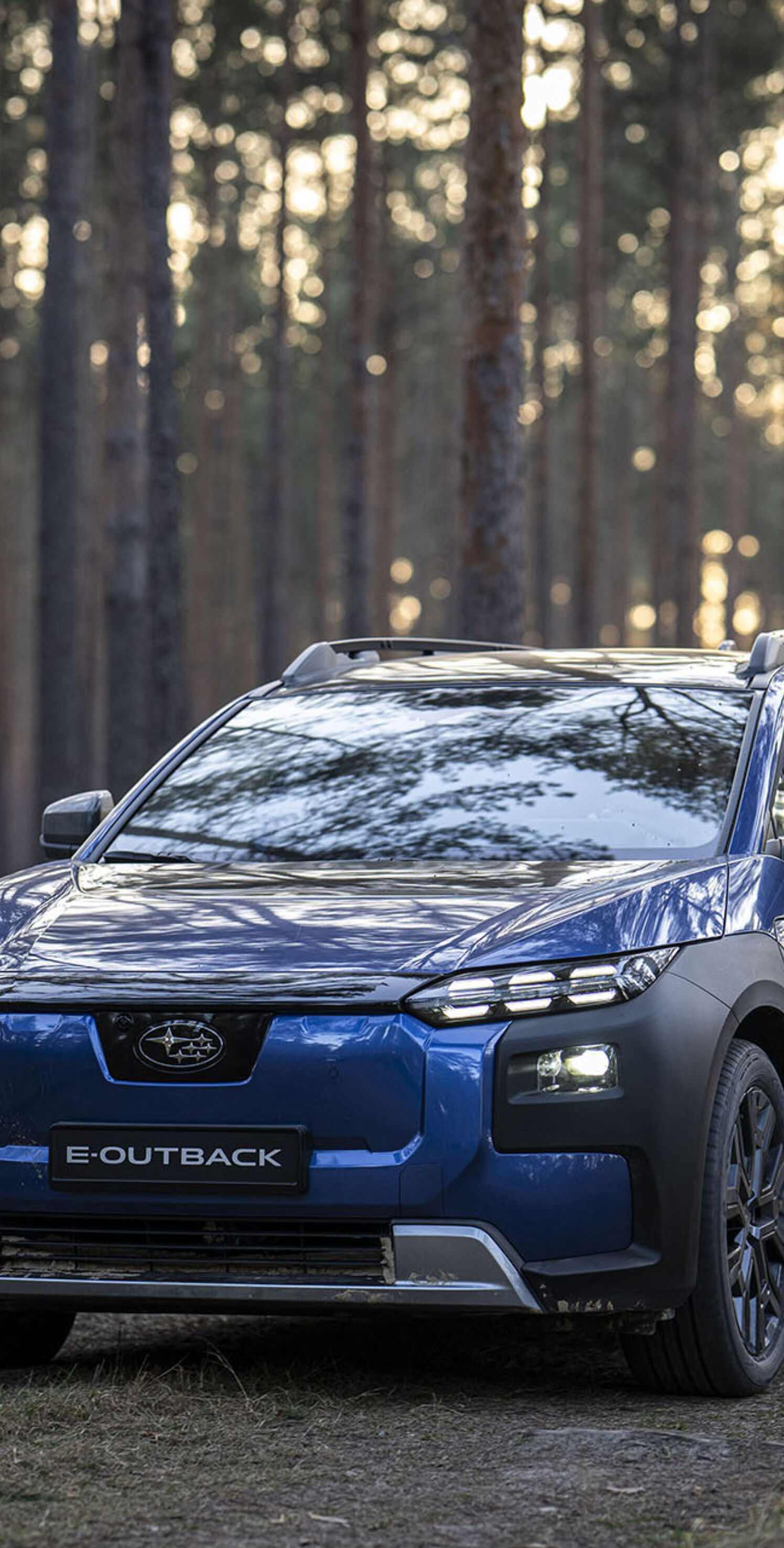 https://autofilter.sk/assets/files/images/bz4x-touring/gallery/E-Outback-Blu-offroad-Image-003.jpg - obrazok