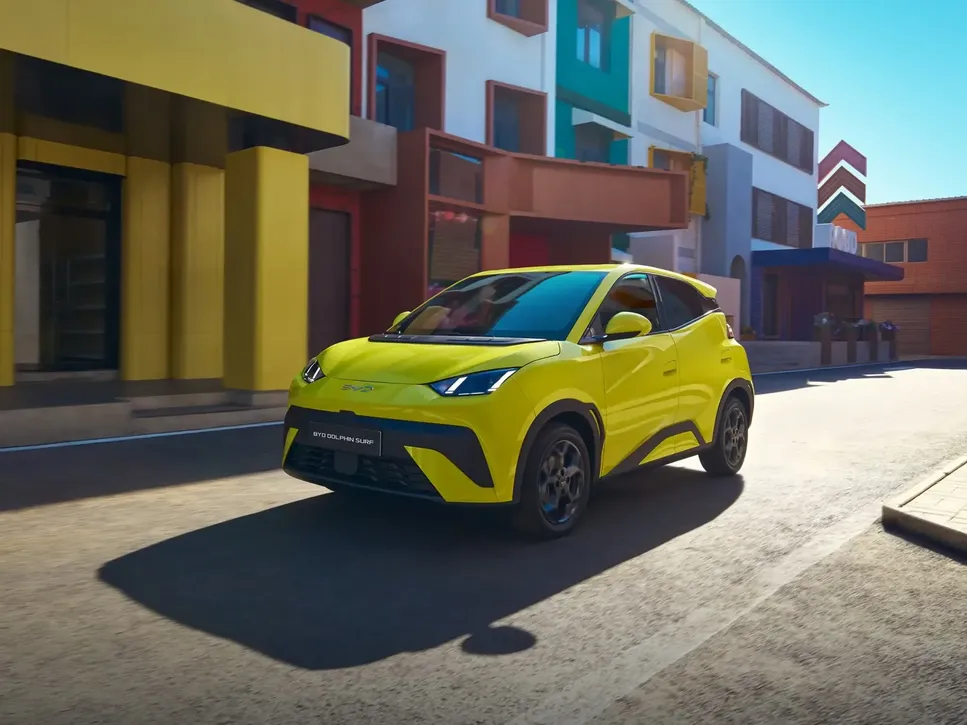 Model - Dolphin Surf