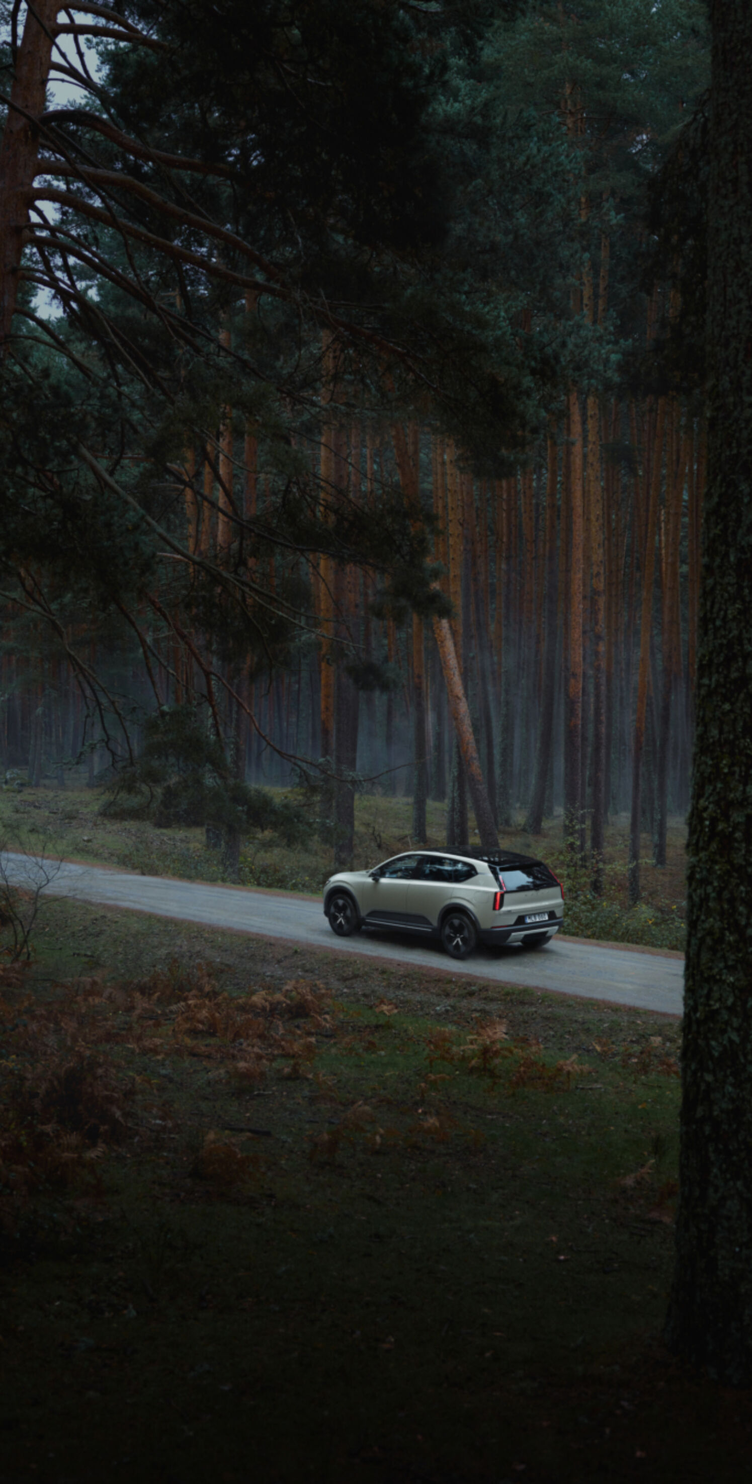https://autofilter.sk/assets/files/images/ex60/gallery/Volvo_EX60_Cross_Country5.jpg - obrazok