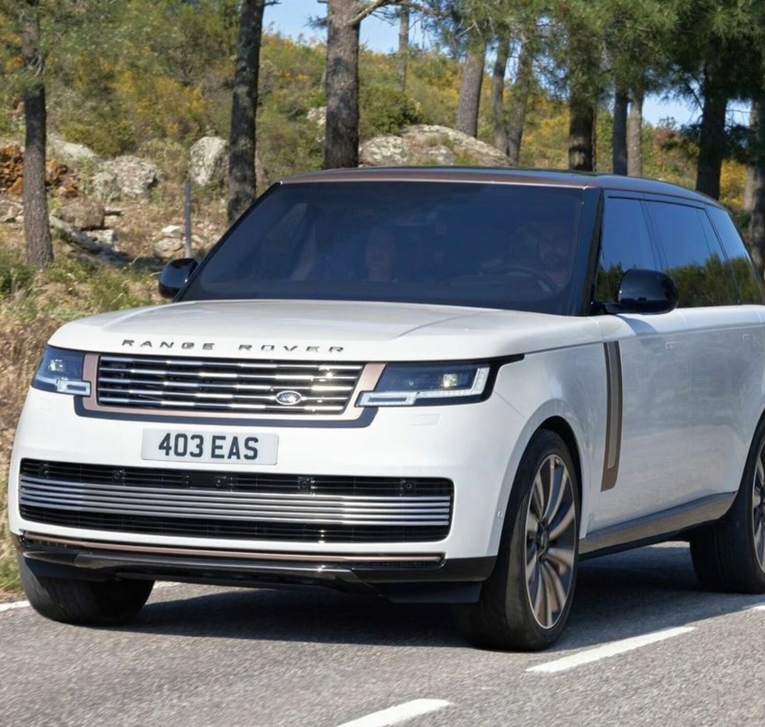 https://autofilter.sk/assets/files/images/range-rover-phev-long/gallery/Land-rover-range-rover-2022-27-galeria.jpg - obrazok